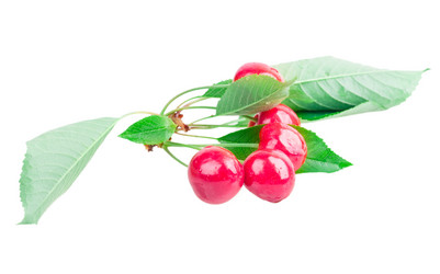 Similar image 2947416