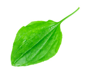 Similar image 2947417