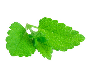 Similar image 2947418