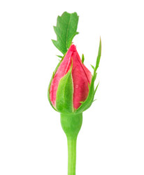 Similar image 2947421