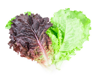 Similar image 2947425