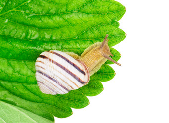 Similar image 2947427