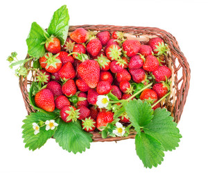 Similar image 2947429