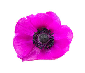 Similar image 2947433