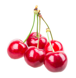 Similar image 2947438