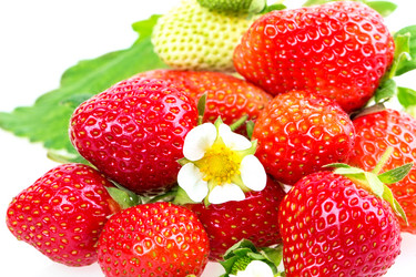 Similar image 2947439