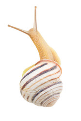 Similar image 2947441