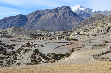 Similar image 2947443