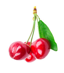 Similar image 2947453