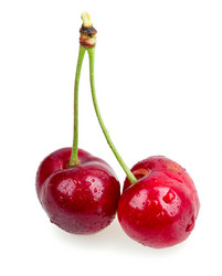 Similar image 2947454