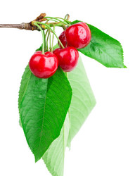 Similar image 2947455