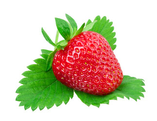 Similar image 2947459