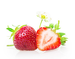 Similar image 2947460