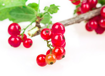 Similar image 2947467