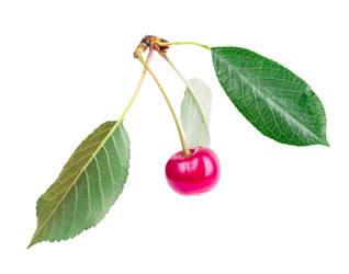 Similar image 2947468