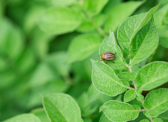 Similar image 2947474