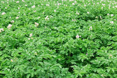 Similar image 2947475