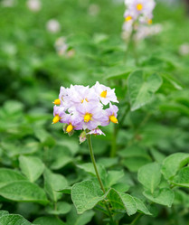 Similar image 2947476