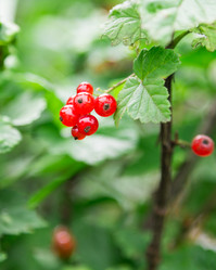 Similar image 2947478