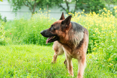 Similar image 2947479