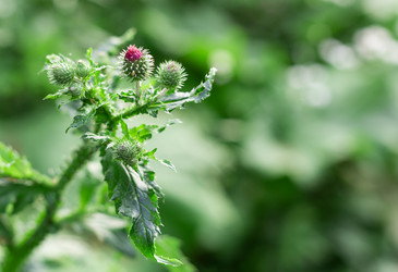 Similar image 2947483