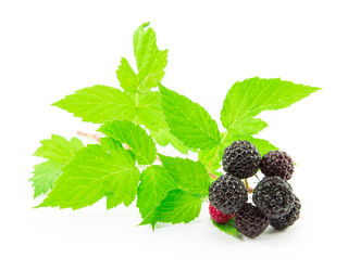 Similar image 2947484