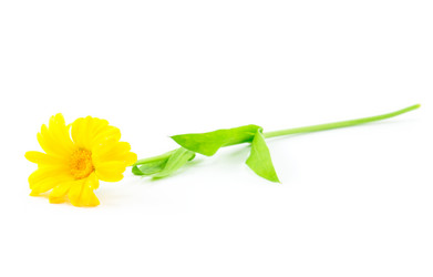 Similar image 2947488