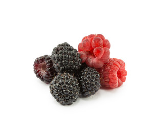 Similar image 2947490