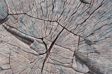 Similar image 2947496