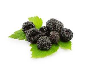 Similar image 2947501