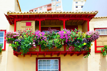 Similar image 2947509