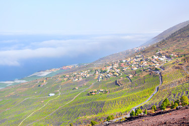 Similar image 2947523