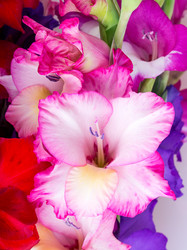 Similar image 2947530