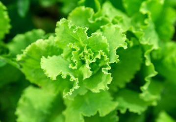 Similar image 2947537