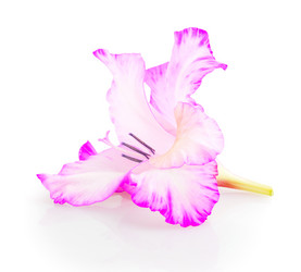 Similar image 2947562