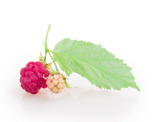 Similar image 2947565