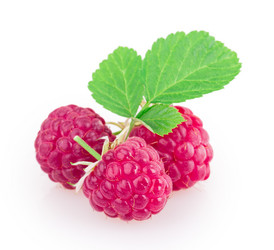 Similar image 2947566