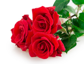 Similar image 2947572