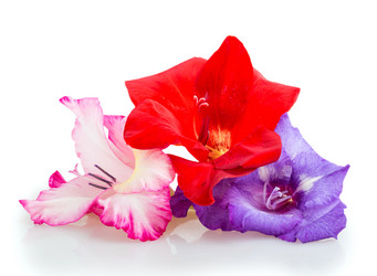 Similar image 2947573