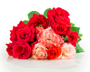 Similar image 2947574