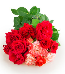 Similar image 2947575