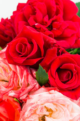 Similar image 2947576