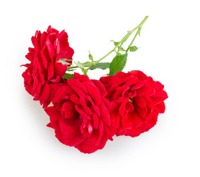 Similar image 2947577