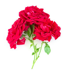 Similar image 2947578