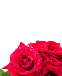 Similar image 2947579