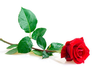 Similar image 2947580