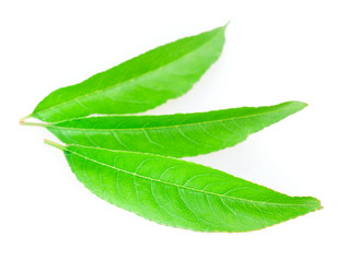 Similar image 2947586