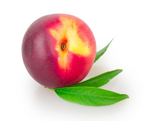 Similar image 2947587