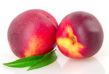 Similar image 2947588