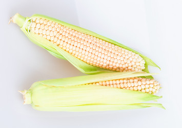 Similar image 2947591